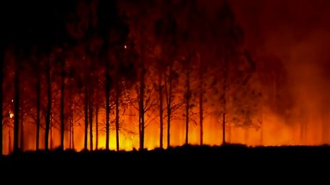 “Los incendios en Corrientes son como 25 veces la Ciudad de Bs As”