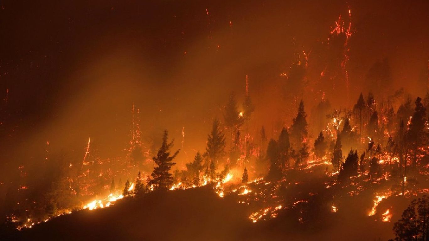 Incendios en la Comarca Andina: “Vienen por todo”